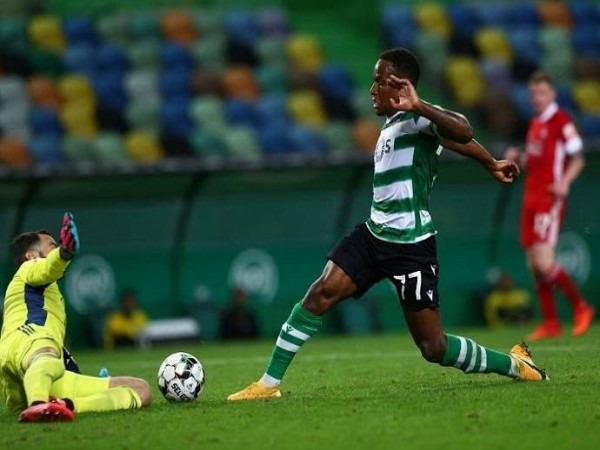 Nhận định kết quả Sporting Lisbon vs Farense, 3h45 ngày 1/12