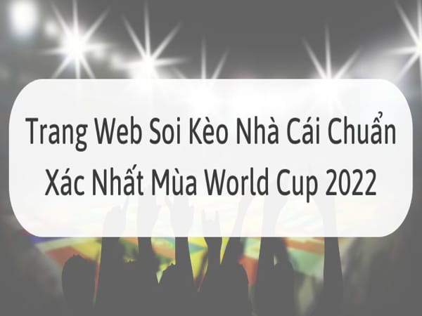Trang Web Soi Kèo Nhà Cái Chuẩn Xác Nhất Mùa World Cup 2022