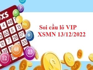 Soi cầu lô VIP XSMN 13/12/2022 hôm nay