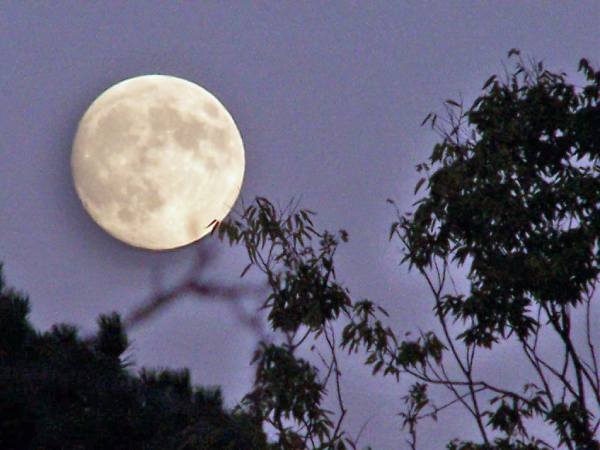 Mơ thấy mặt trăng – Ý nghĩa giấc mơ và con số may mắn