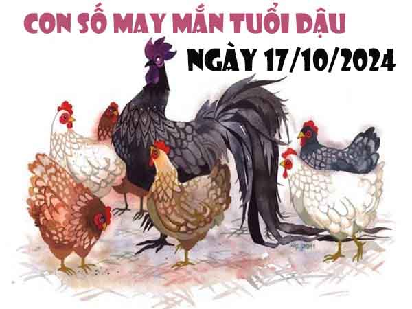 Thống kê con số đẹp tuổi Dậu ngày 17/10/2024 thứ 5 hôm nay