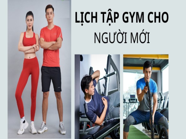 Lịch tập gym cho người mới hành trình hoàn hảo