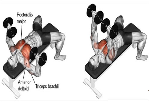 TOP bài tập lưng xô cho nam cơ lưng săn chắc hoàn hảo