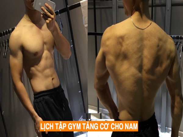 Lịch tập gym cho nam tăng cơ tối ưu cơ bắp và sức mạnh