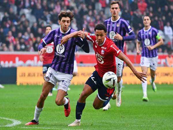 Thông tin lực lượng Lille vs Toulouse
