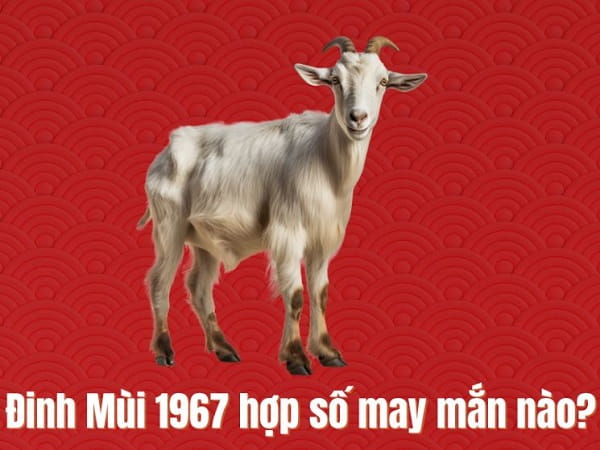 Nằm mơ thấy nhẫn bạc tốt hay xấu? số gì đón lộc ngày mới