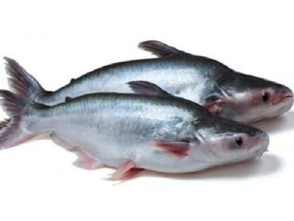 Luận giải nằm mơ thấy cá quả có ý nghĩa gì và số gì lộc